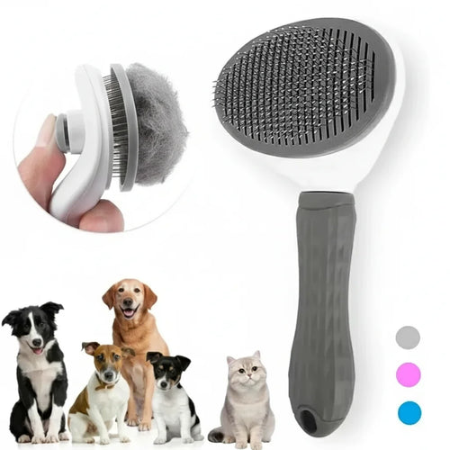 https://cdn.dropmagic.ai/medias/c0fec67b-36b7-4d47-baaa-dbac8c5cf50f.webp